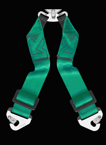 Takata 4-Point Seat Belt Harness
