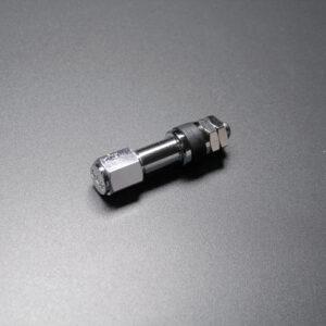 SSR Valve Stem Professor Formula MKI Chr Straight SVI-2 PARTS009
