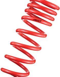 Toyota Prius 2010-2013 1.3/1.6 inch Tanabe DF210 springs #TDF153